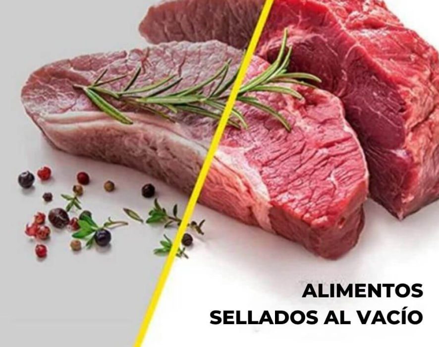 SELLADORA DE BOLSAS AL VACÍO + 10 Bolsas